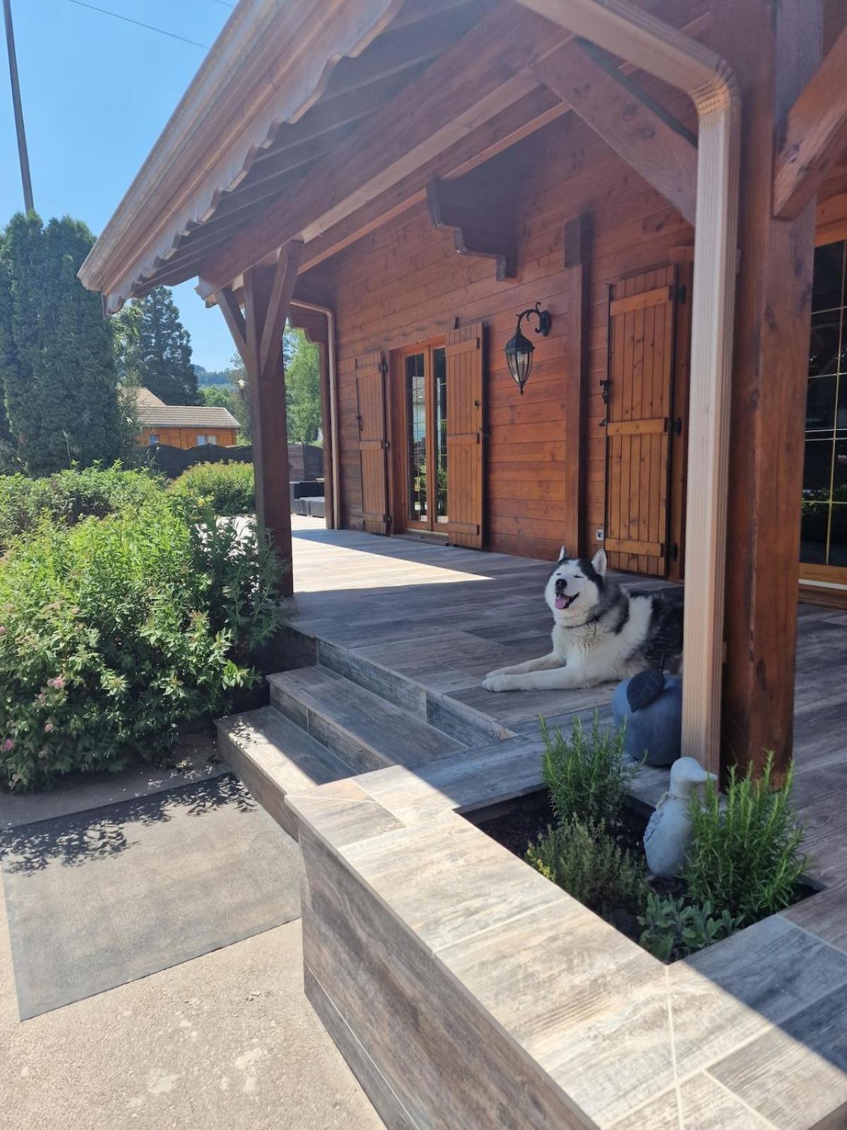Chalet Matteo Laveline Εξωτερικό φωτογραφία