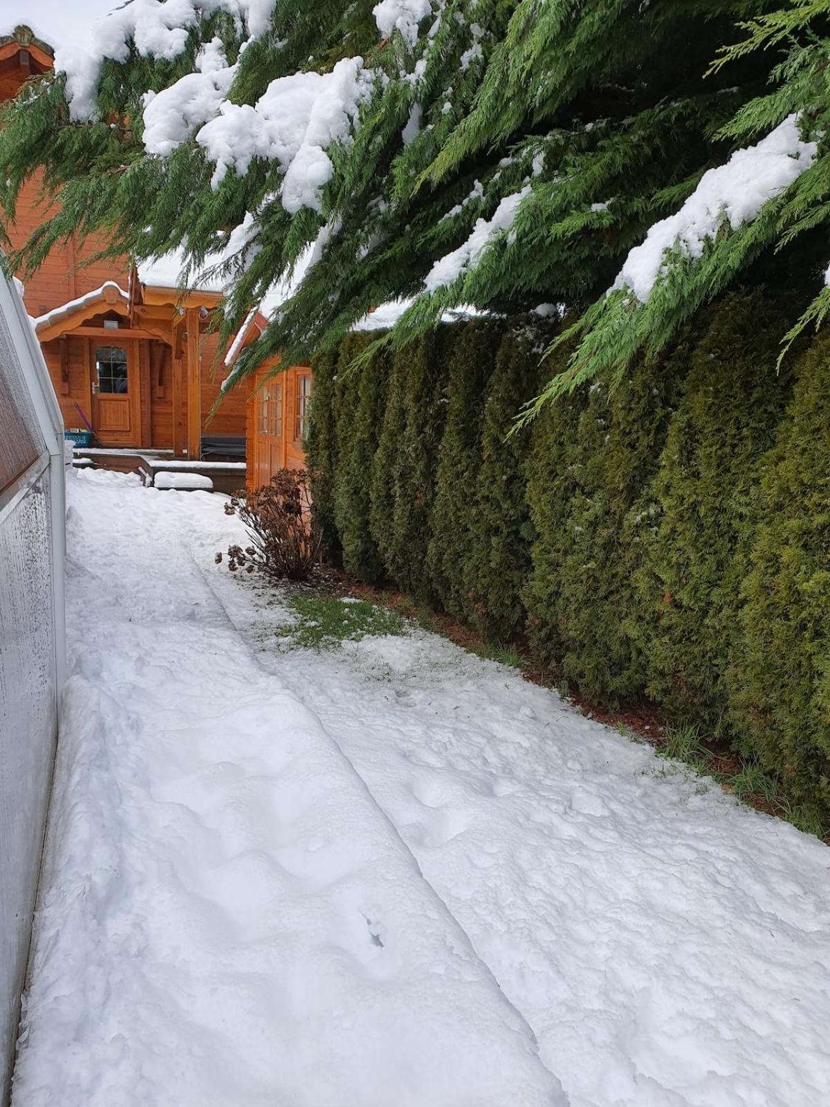 Chalet Matteo Laveline Εξωτερικό φωτογραφία
